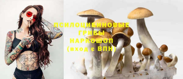 спайс Володарск