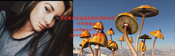 ГАЛЛЮЦИНОГЕННЫЕ ГРИБЫ Волосово