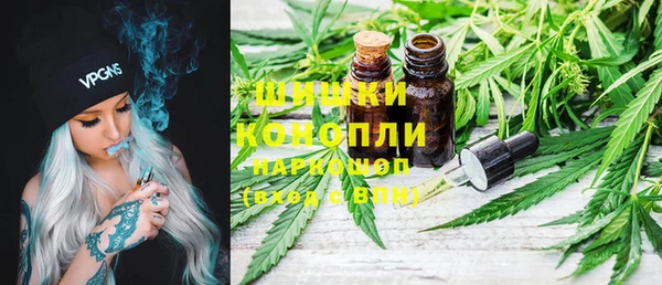 ГАЛЛЮЦИНОГЕННЫЕ ГРИБЫ Волосово