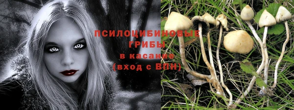 спайс Володарск