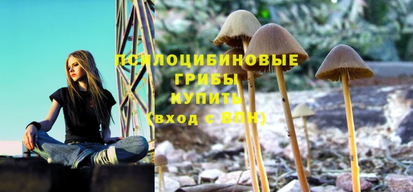 ГАЛЛЮЦИНОГЕННЫЕ ГРИБЫ Волосово