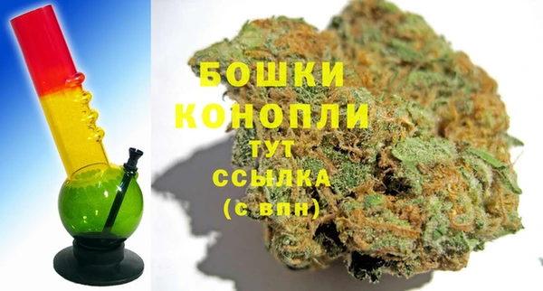 ГАЛЛЮЦИНОГЕННЫЕ ГРИБЫ Волосово