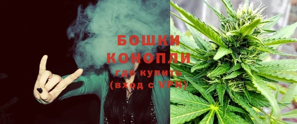 ГАЛЛЮЦИНОГЕННЫЕ ГРИБЫ Волосово