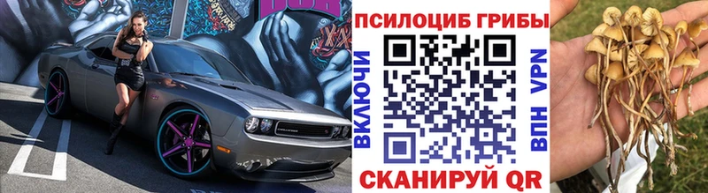 Галлюциногенные грибы GOLDEN TEACHER  Любань 
